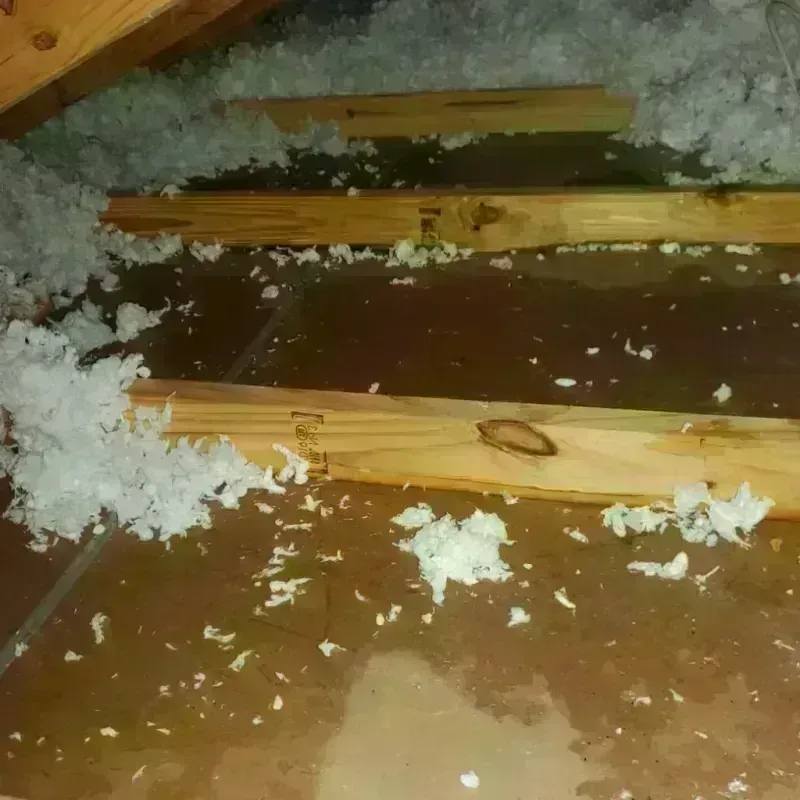 Attic Water Damage in White City, FL