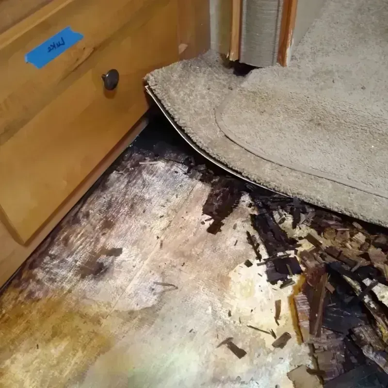 Wood Floor Water Damage in White City, FL